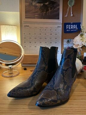 Steve Madden snake boots